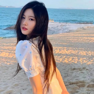 海狸